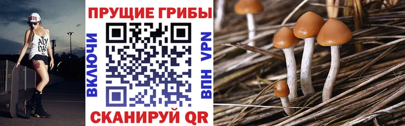 Галлюциногенные грибы GOLDEN TEACHER  Дыгулыбгей 
